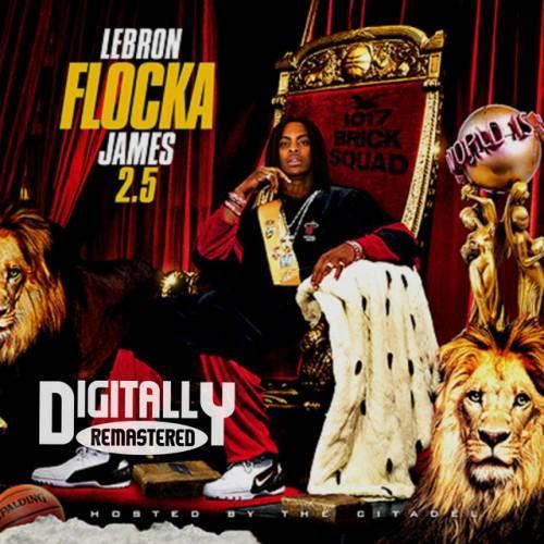 LeBron Flocka James 2.5