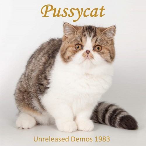 Unreleased Demos 1983