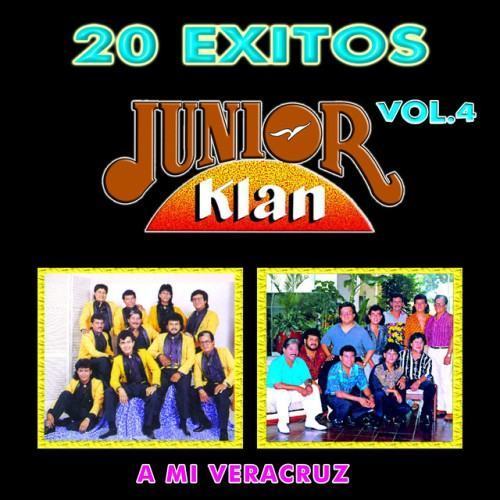 A Mi Veracruz, Vol.4 (20 Éxitos)
