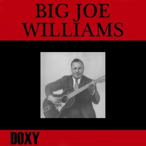 Big Joe Williams (Doxy Collection)