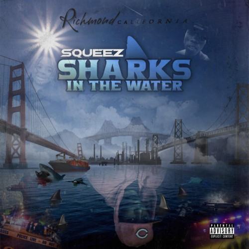 Sharks In The Water