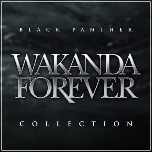 Black Panther: Wakanda Forever Collection