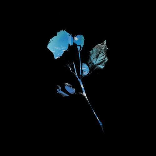 Dreaming The Dark