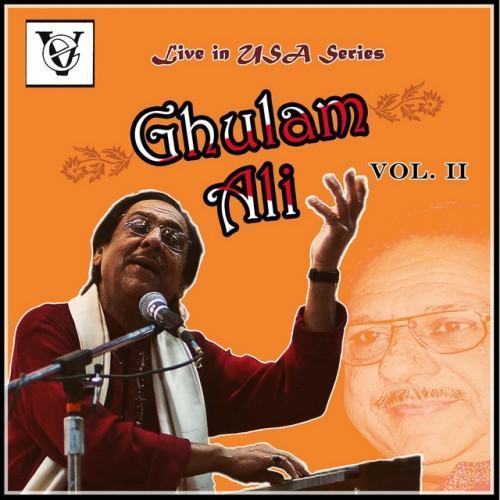 Live In Usa, Vol. 2