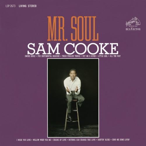 Mr. Soul