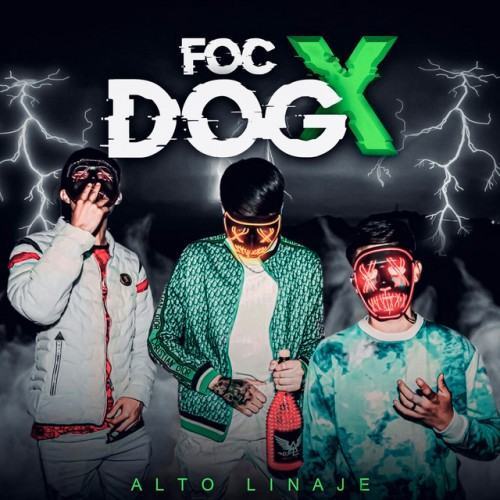 FOCDOG