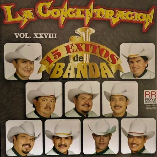 15 Éxitos de Banda, Vol. XXVIII