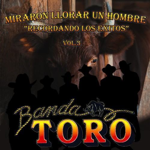 Miraron Llorar un Hombre "Recordando los Exitos" Vol. 3