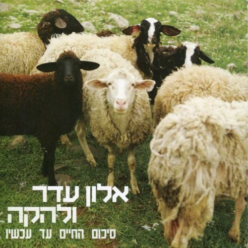 סיכום החיים עד עכשיו