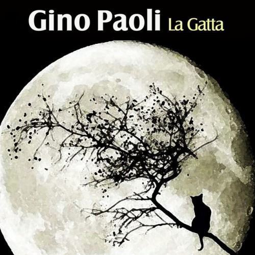La gatta