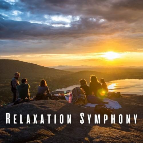 Relaxation Symphony: Harmonious Nature Sounds and Chill Vibes