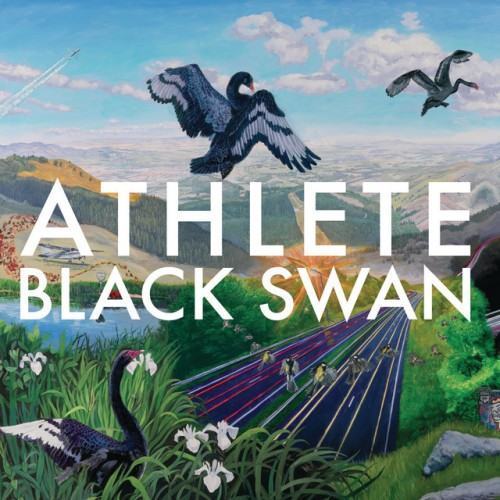 Black Swan