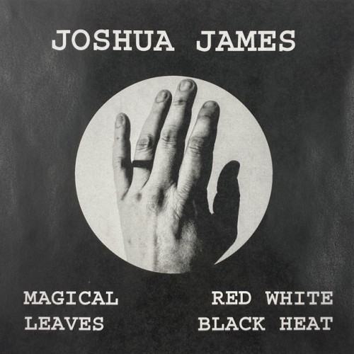 Magical Leaves Red White Black Heat