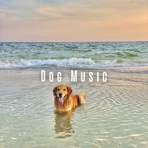 Dog Music: Binaural Theta Waves and Oceanic Harmonies