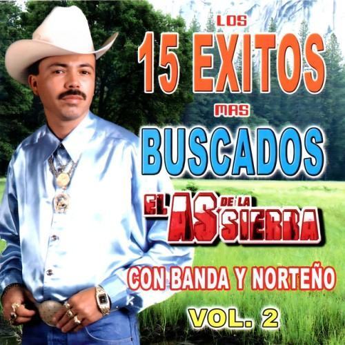 Los 15 Éxitos Mas Buscados (Vol. 2)
