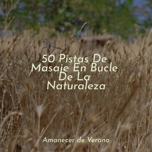 50 Pistas De Masaje En Bucle De La Naturaleza