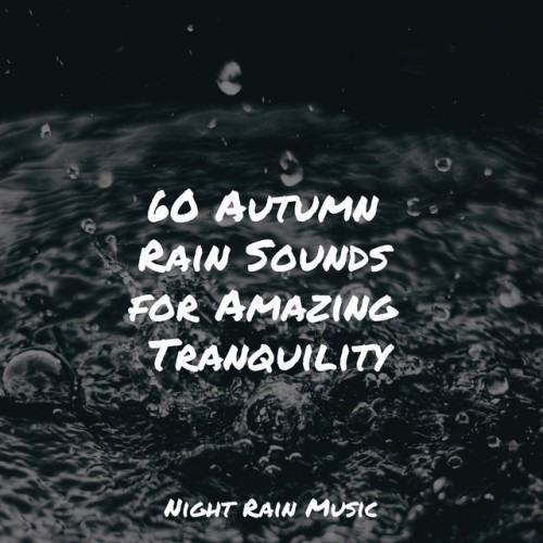 60 Autumn Rain Sounds for Amazing Tranquility