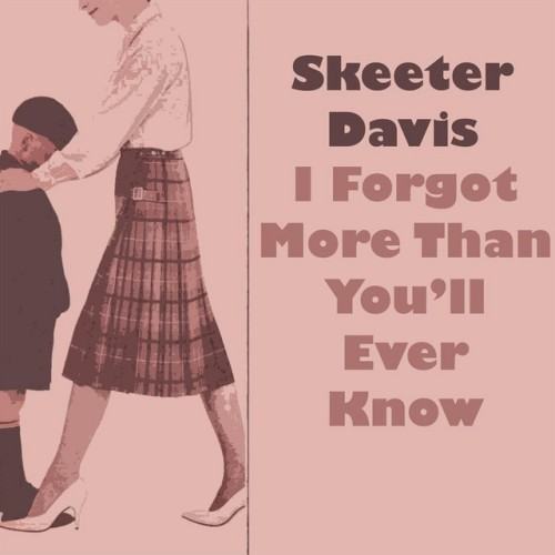 I Forgot More Than You'll Ever Know