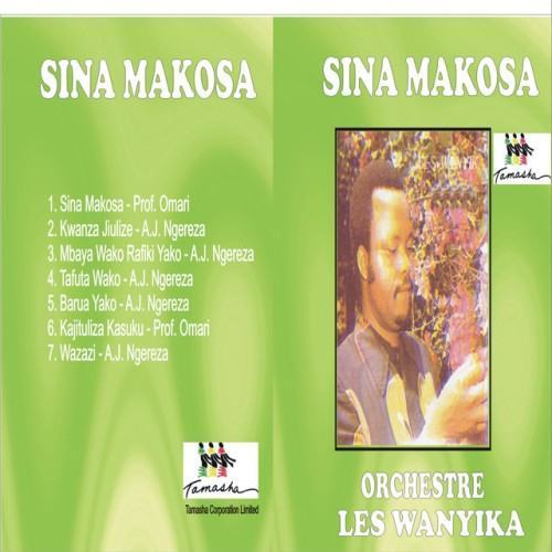 Sina Makosa