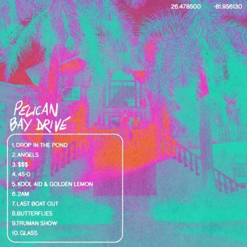 Pelican Bay Drive