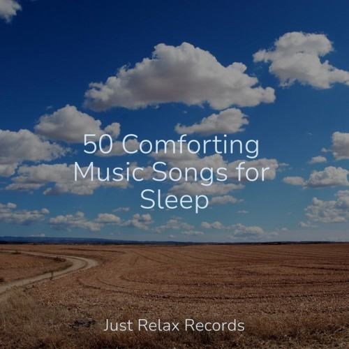 50 Comforting Music Songs for Sleep