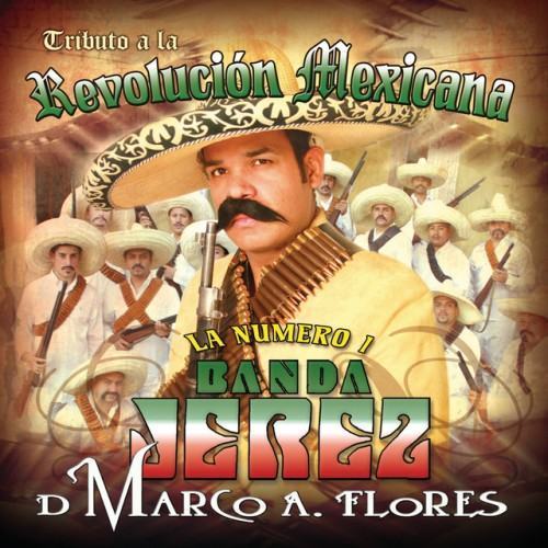 Tributo A La Revolucion Mexicana