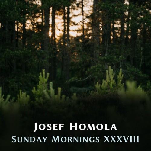 Sunday Mornings XXXVIII