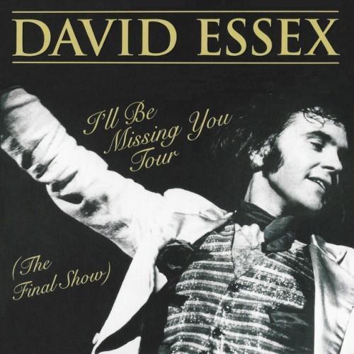 I'll Be Missing You Tour (The Final Show)