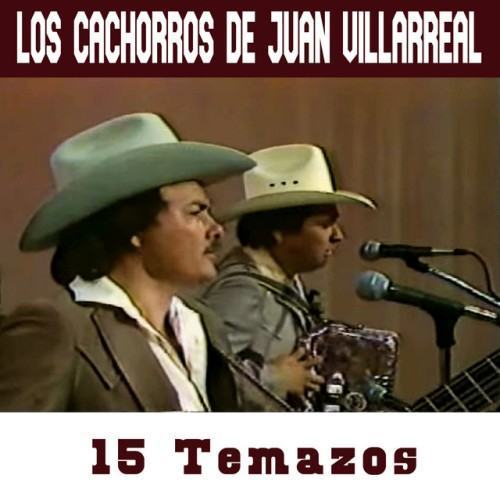 15 Temazos