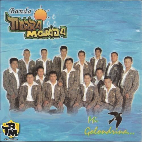 Mi Golondrina