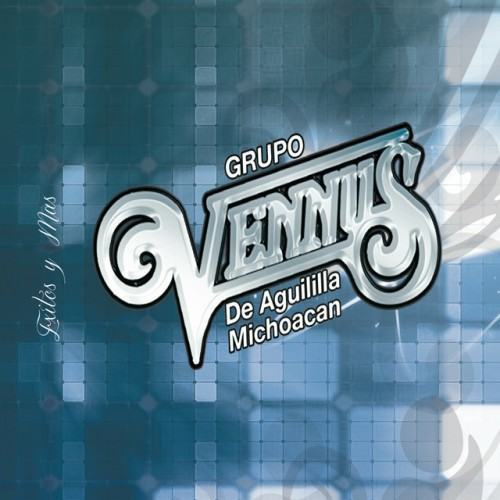Exitos y Mas