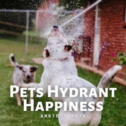 Ambient Rain: Pets Hydrant Happiness