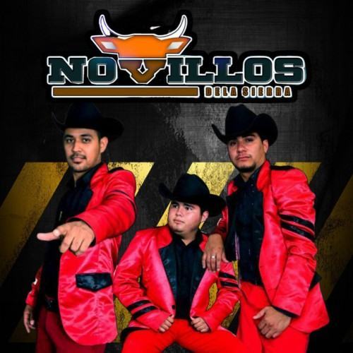 En Vivo Desde Sinaloa Municipio