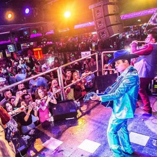Puros Coridos Y Canciones (En Vivo )