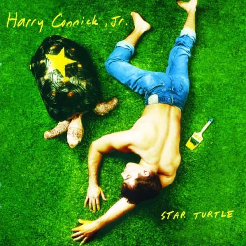 Star Turtle