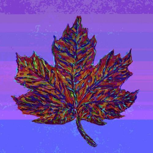 Maple Bumps 2