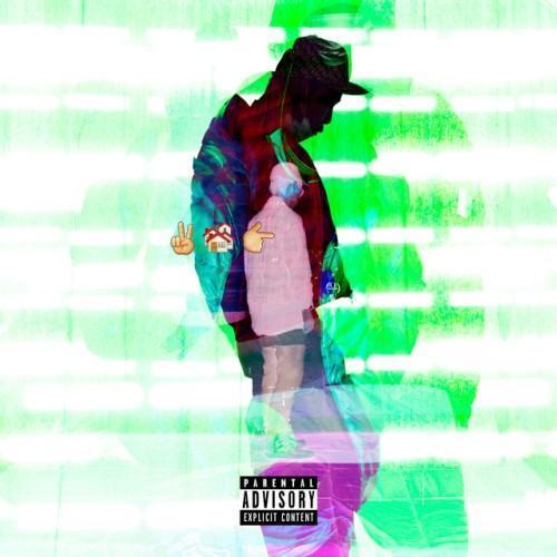 2 Many Homes 4 1 Kid : Instrumentals & Remixes