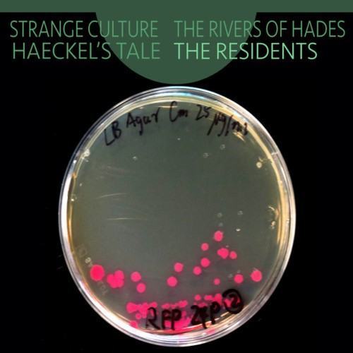 Strange Culture / The Rivers of Hades / Haeckel's Tale