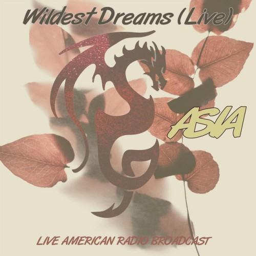 Wildest Dreams - Live American Radio Broadcast