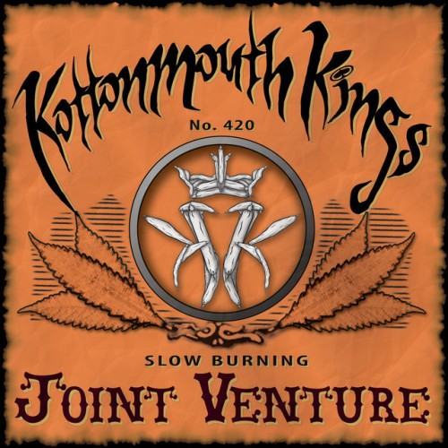 Joint Venture