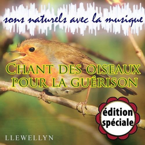 Chant des oiseaux pour la guérison: sons naturels avec la musique: édition spéciale