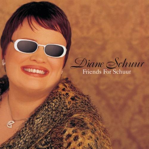 Friends For Schuur