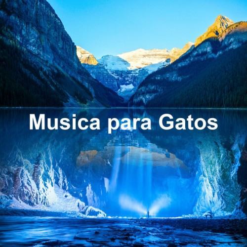 Musica para Gatos