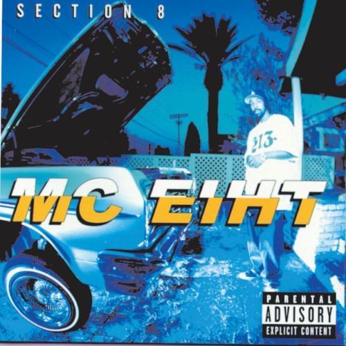 Section 8