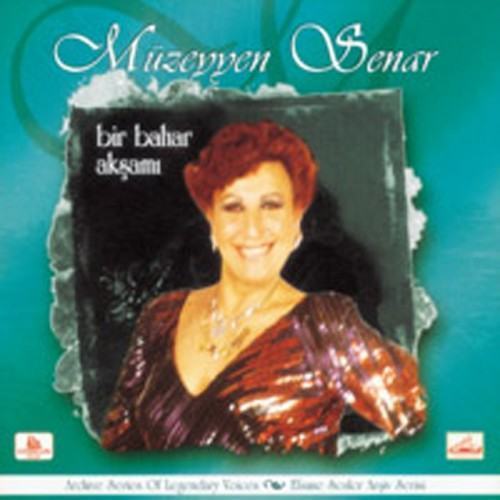 Bir Bahar Aksami