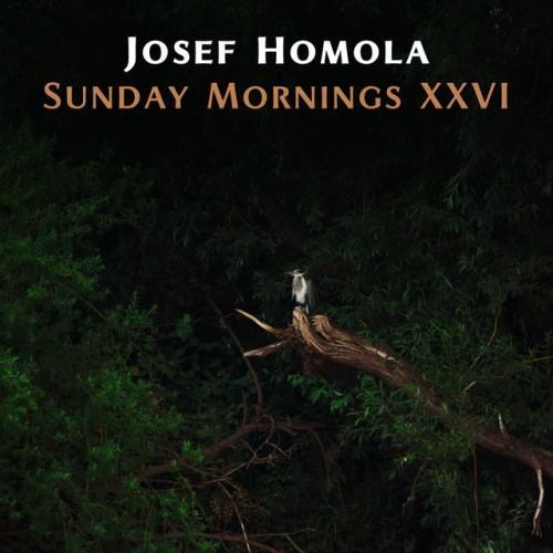 Sunday Mornings XXVI