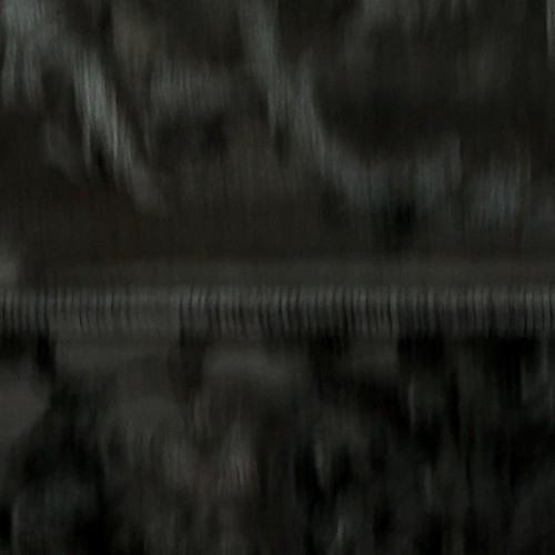 Inertia