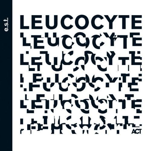 Leucocyte