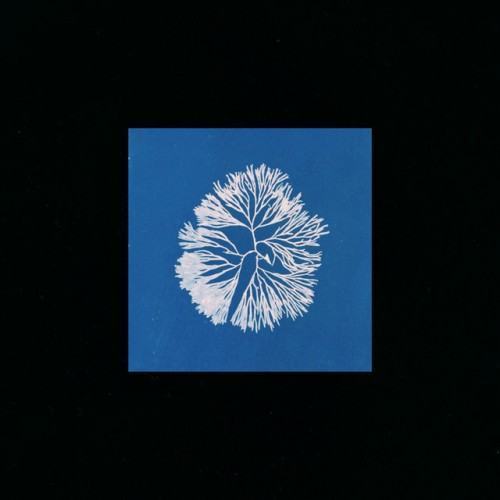 Silk Noise Reflex