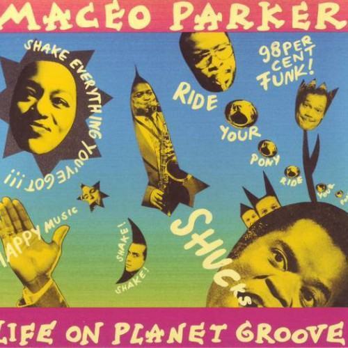 Life on Planet Groove